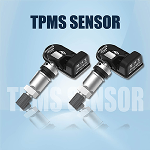 Picture for category TPMS Sensor