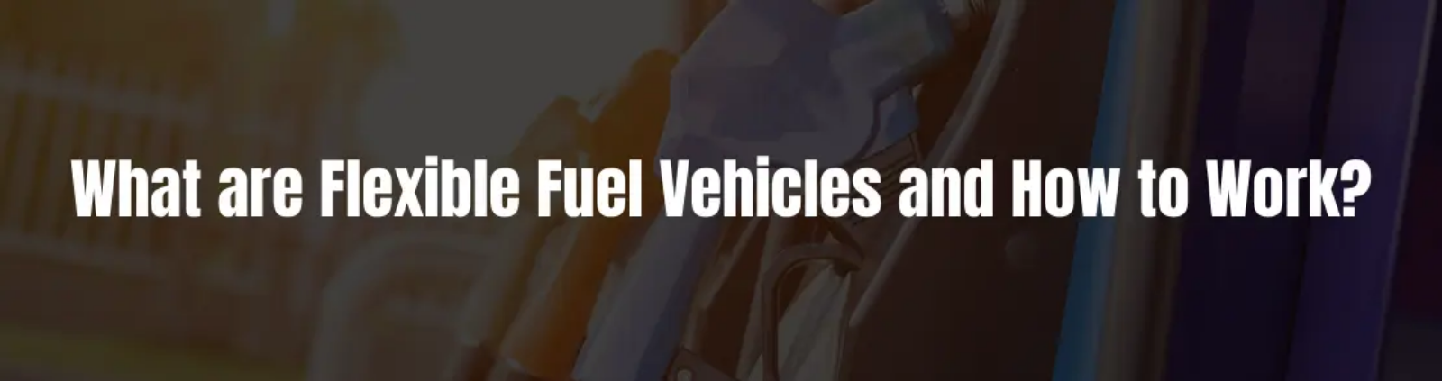What are flexible fuel vehicles and how to work?